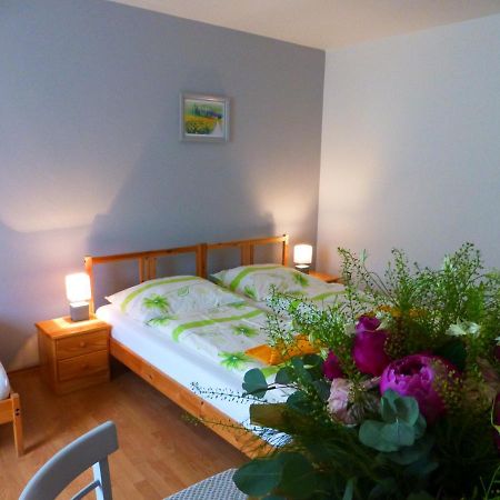 Ubytovanie Na Frantsachte Banská Štiavnica Extérieur photo